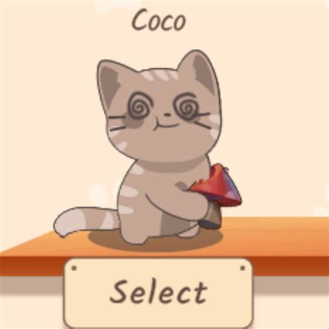 coco chanel cats|coco the cat duo.